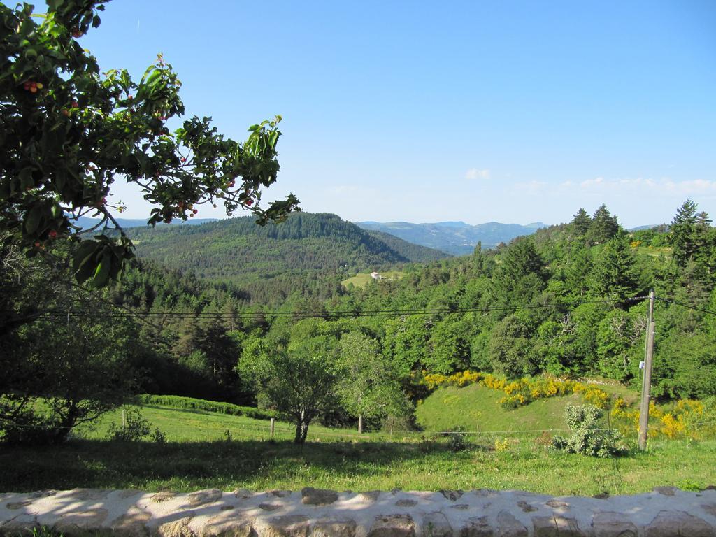 Le Petit Rias Gite Soleil Saint Maurice en Chalencon Kültér fotó