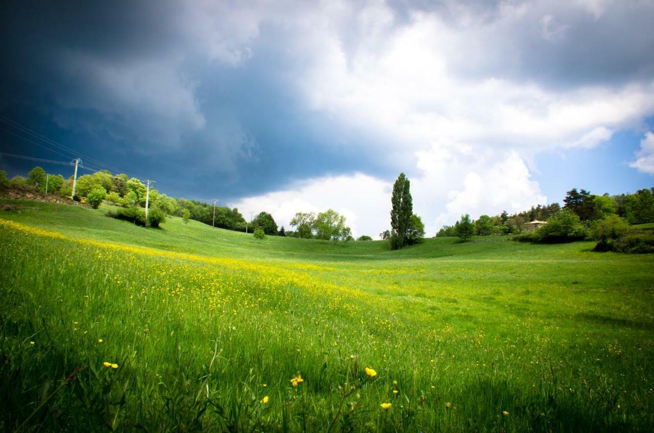 Le Petit Rias Gite Soleil Saint Maurice en Chalencon Kültér fotó